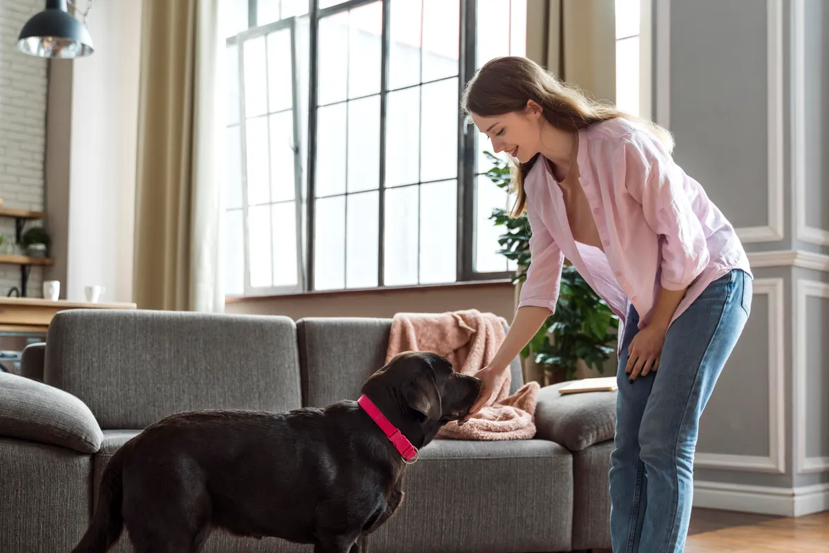 Planning Regular Home Cleaning When You Have Pets